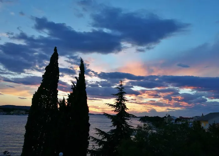 Dalmatino