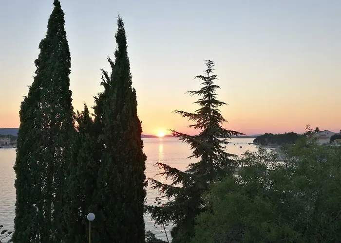 Dalmatino