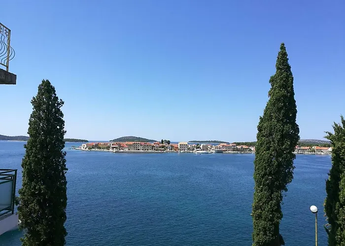 Dalmatino