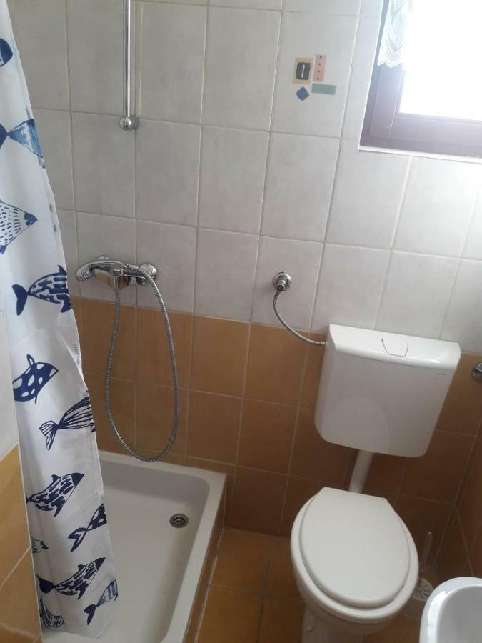 Apartment Dalmatino *