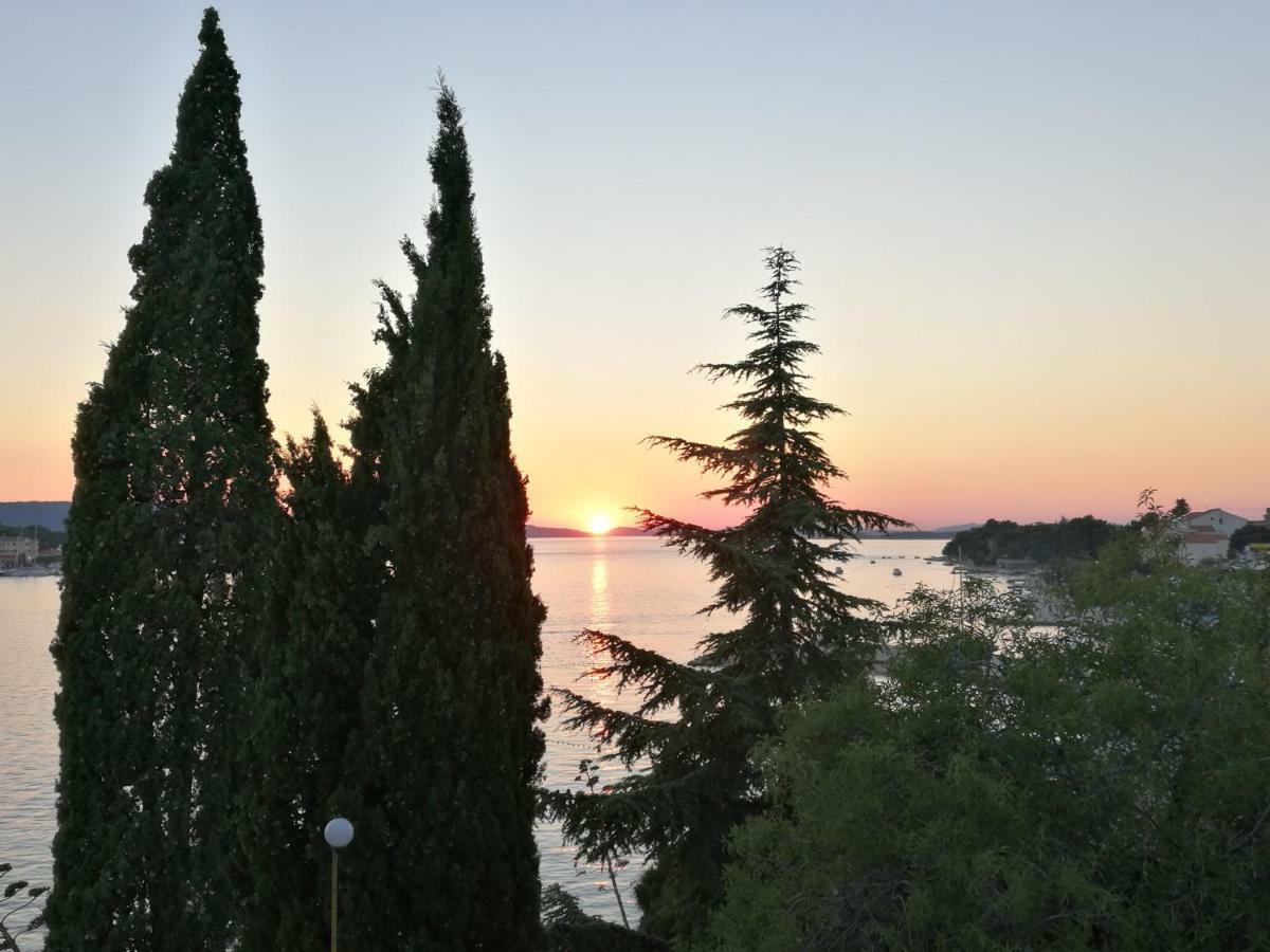 Dalmatino Brodarica (Sibenik-Knin)