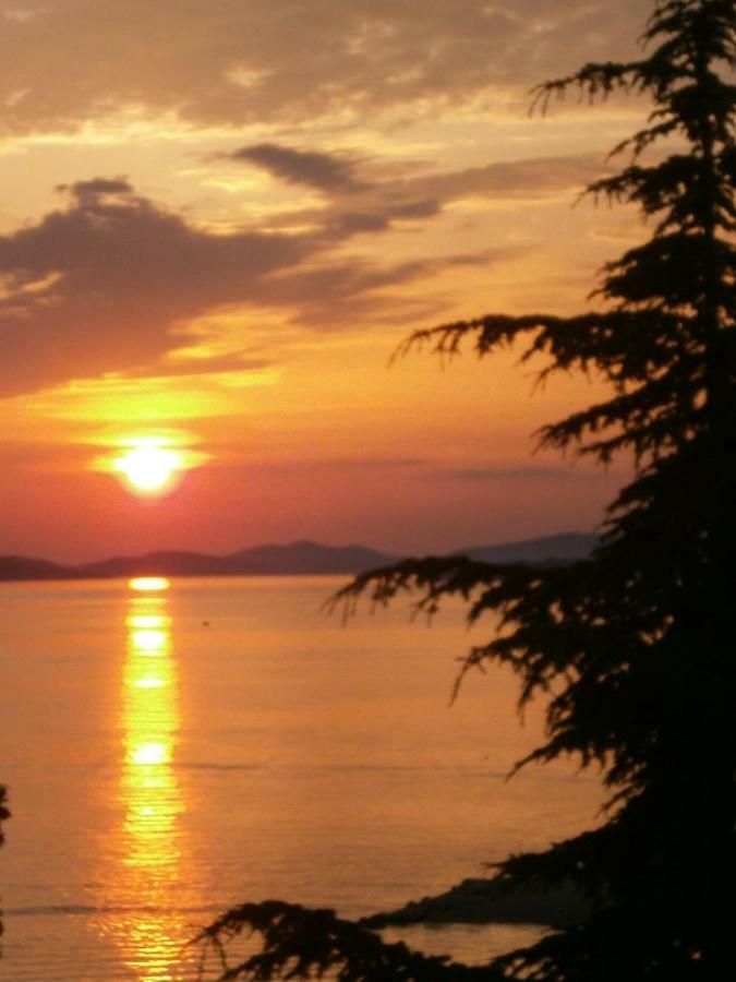 Apartment Dalmatino Brodarica (Sibenik-Knin)